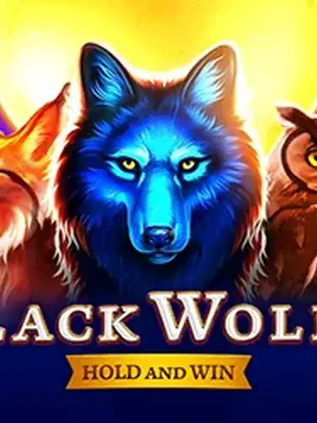 Black Wolf 2