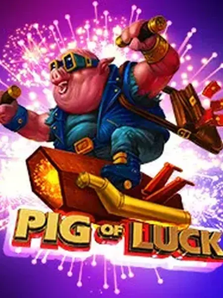 Pig Of Luck