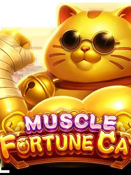 MUSCLE FORTUNE CAT
