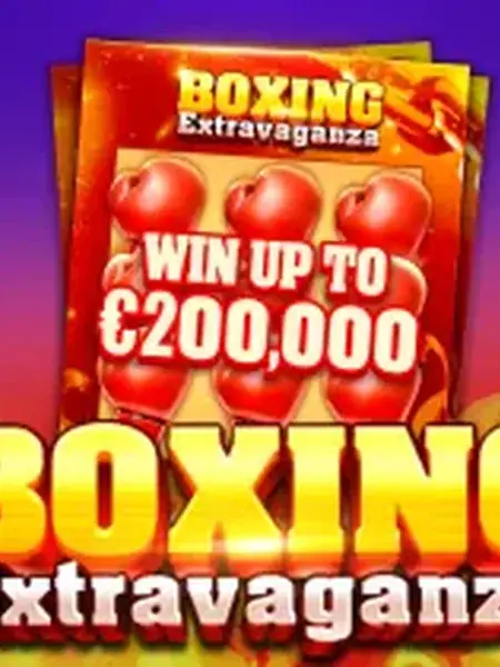 Boxing Extravaganza