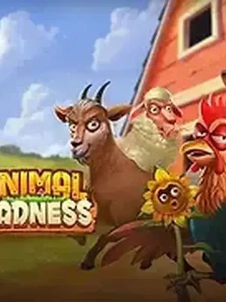 Animal Madness