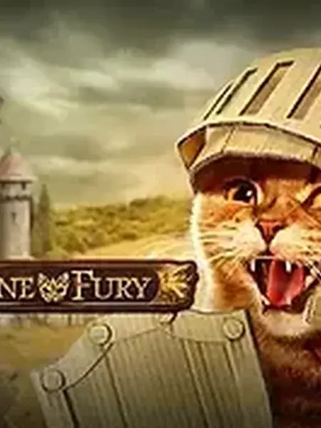 Feline Fury