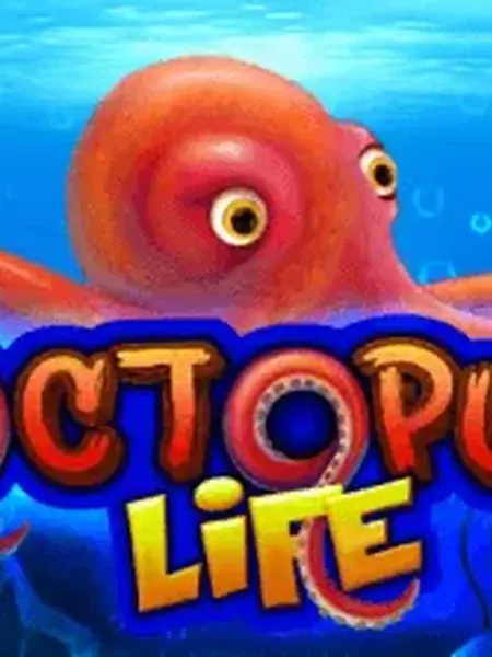 Octopus Life