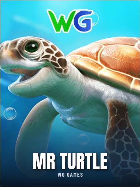 Mr Turtle